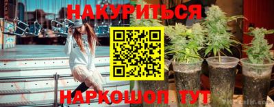 каннабис Дубна