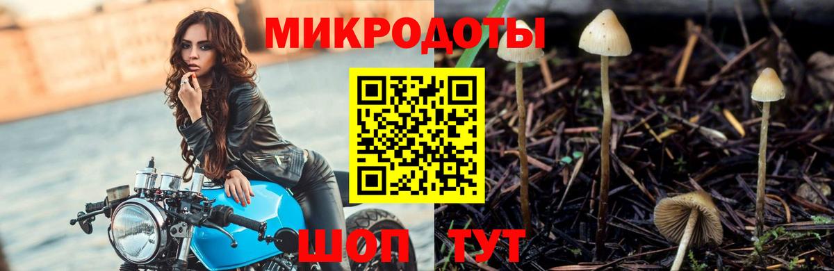 Набережные Челны  Галлюциногенные грибы Psilocybe  Вход с VPN 